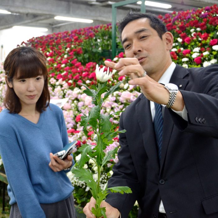 さくらのゆるゆる終活の旅 Vol 7 生花祭壇ができるまで 匠集団 ユー花園で社会科見学 はじめてのお葬式ガイド