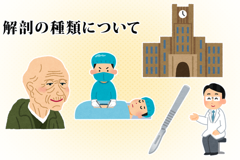 解剖の種類について。正常解剖・司法解剖・行政解剖・病理解剖その目的と特徴は？